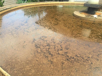 廃水処理の好気槽に浮遊する汚泥